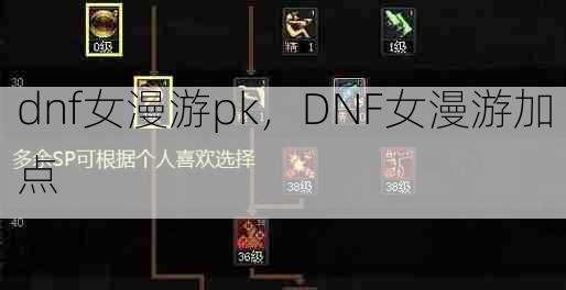 dnf女漫游pk,DNF女漫游加点