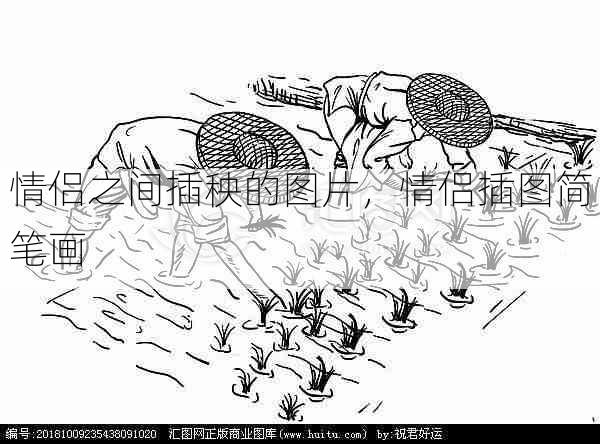 情侣之间插秧的图片,情侣插图简笔画