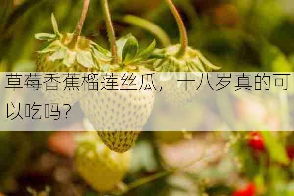 草莓香蕉榴莲丝瓜,十八岁真的可以吃吗?