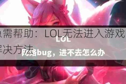 急需帮助：LOL无法进入游戏的解决方法
