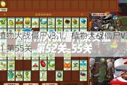 植物大战僵尸v3.1，植物大战僵尸V3.1 第55关