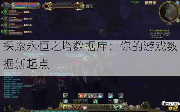 探索永恒之塔数据库：你的游戏数据新起点